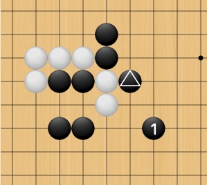 Shape of Knight's Move Net