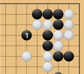 Shape of Loose Ladder